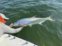 IMG_2371.JPG IMG_2371.JPG