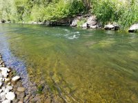 20230606_water.jpg 20230606_water.jpg