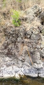 20230608_rod.jpg 20230608_rod.jpg