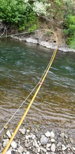 20230608_fish.jpg 20230608_fish.jpg