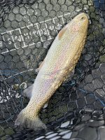 IMG_3690.jpeg