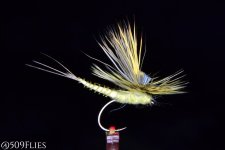 fotor_2023-6-9_18_10_2 - edit 1.jpg