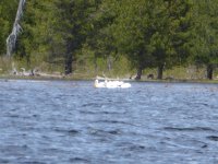 Crane Prairie 5-22-2023#4.JPG