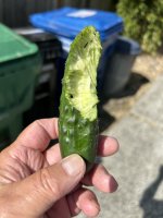 IMG_0115.jpeg