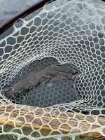 IMG_0864.JPG