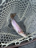 IMG_0865.JPG