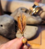 20230605_204131.jpg