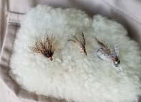20230613_flies.jpg