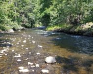 20230613_stream.jpg