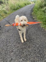 IMG_4021.jpeg
