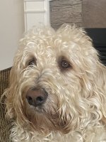 IMG_3797.jpeg