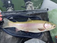 74518074-1A87-4454-A5F4-E9866B9E60A5.jpeg