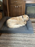 IMG_3243.jpeg