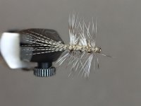 9728E8DD-5F66-4231-86EA-07A475AAE9D2.jpeg