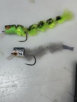 IMG_1832.jpeg