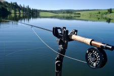 Rod setup.jpeg