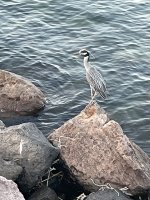 IMG_0029.jpeg