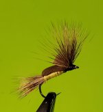 20230621_184916.jpg