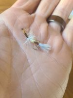 20230622_084230.jpg