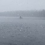 IMG_1669.jpg