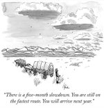 FB_IMG_1687451946809.jpg