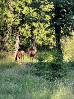 IMG_9007.jpeg