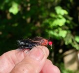 IMG_9029.jpeg
