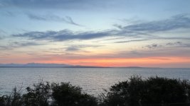 IMG_3962.jpeg IMG_3962.jpeg