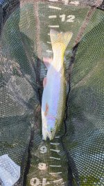 20230622_093740.jpg