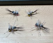 IMG_3954.jpeg