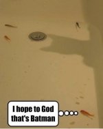 IMG_3963.jpeg