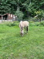 IMG_2551.jpeg IMG_2551.jpeg