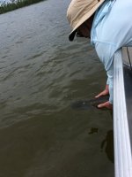 IMG_0302.jpeg IMG_0302.jpeg