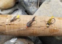 20230627_flies.jpg