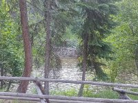 IMG_20230624_063416973.jpg