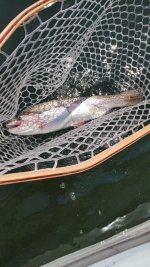 IMG_20230627_111327814.jpg