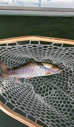 IMG_20230627_112514059~2.jpg