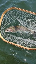 IMG_20230627_115028734.jpg