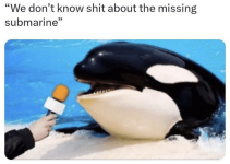 1687920254542.png