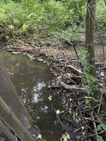 IMG_3977.jpeg IMG_3977.jpeg