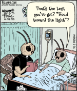 IMG_3518.png