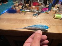 IMG_2150.jpeg