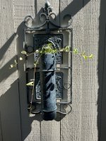IMG_3532.jpeg