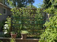 IMG_3534.jpeg