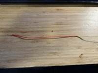 IMG_4106.jpeg