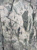 IMG_2080.jpeg