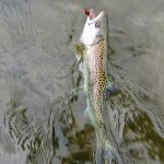 20170920_105918~2.jpg 20170920_105918~2.jpg