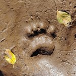 20201003_113224.jpg 20201003_113224.jpg