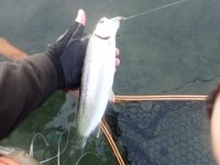 IMG_4023.jpeg IMG_4023.jpeg