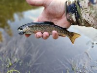 20230624_201737.jpg 20230624_201737.jpg
